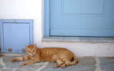 Des vacances dans la nature de l’esprit