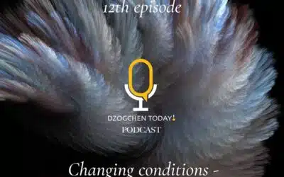 Le Dzogchèn au quotidien 12