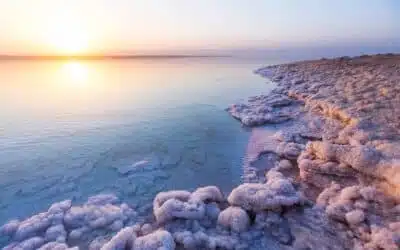 The Dead Sea