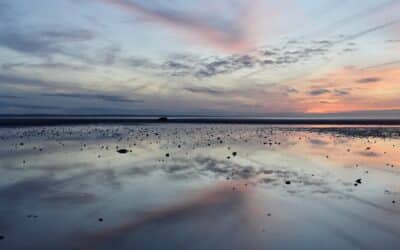 High Tide, Low Tide