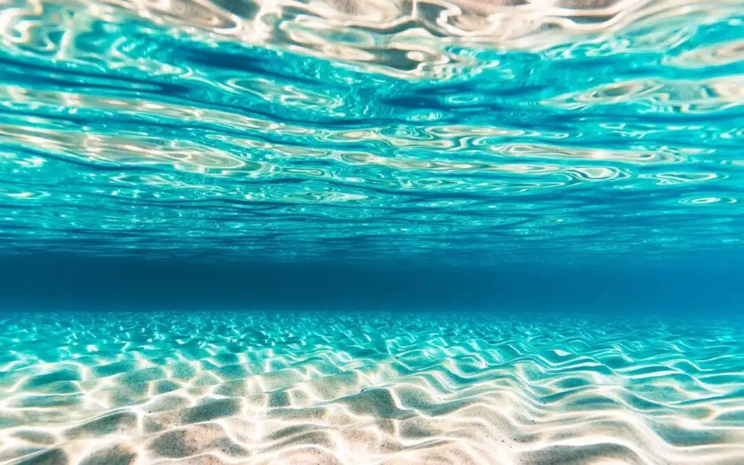 Le chant des sirènes