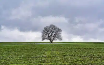 La maladie