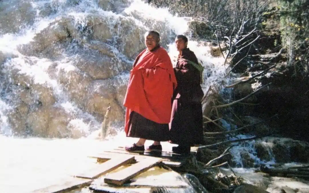 Stories When the Light Fades