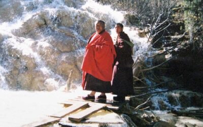 Stories When the Light Fades