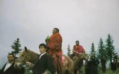 L’appel de la lignée