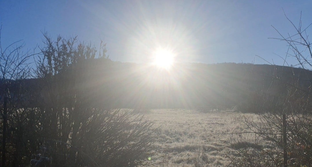 gzhi ©Damien Brohon