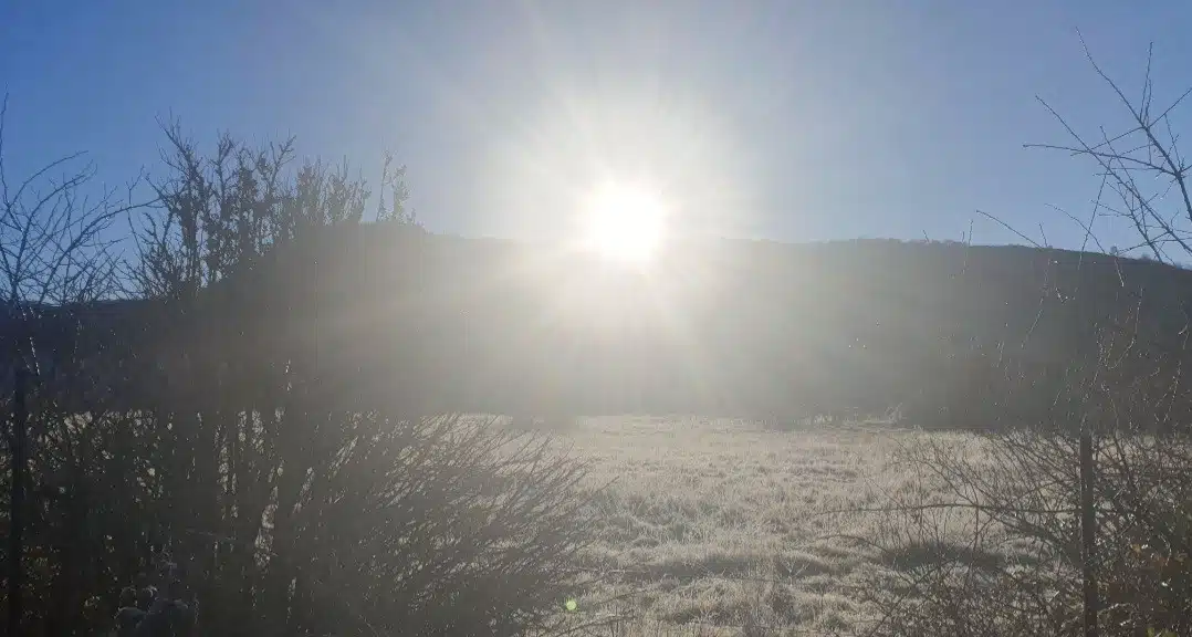 gzhi ©Damien Brohon