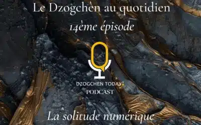 Le Dzogchèn au quotidien 14