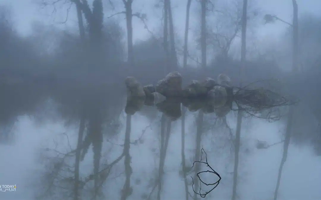 dzogchentoday-le-premier-jour.jpg &copy;Mila Khyentse