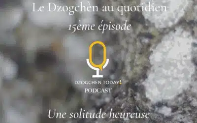 Le Dzogchèn au quotidien 15