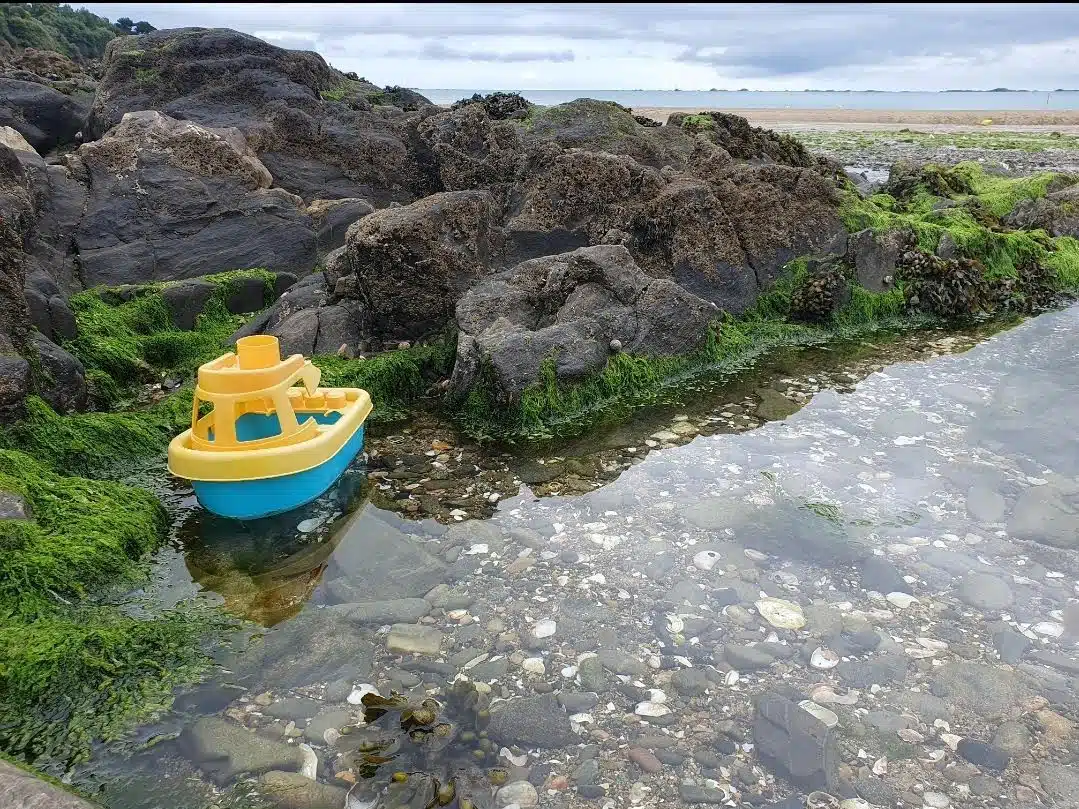 dzogchentoday-Phenomene @DamienBrohon