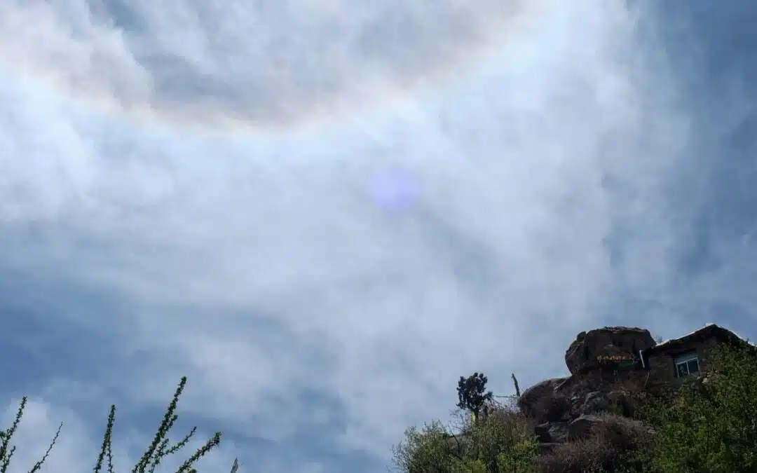 Être son propre maître