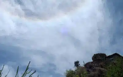 Être son propre maître