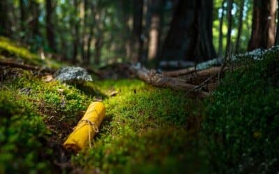 The Terma Lineages