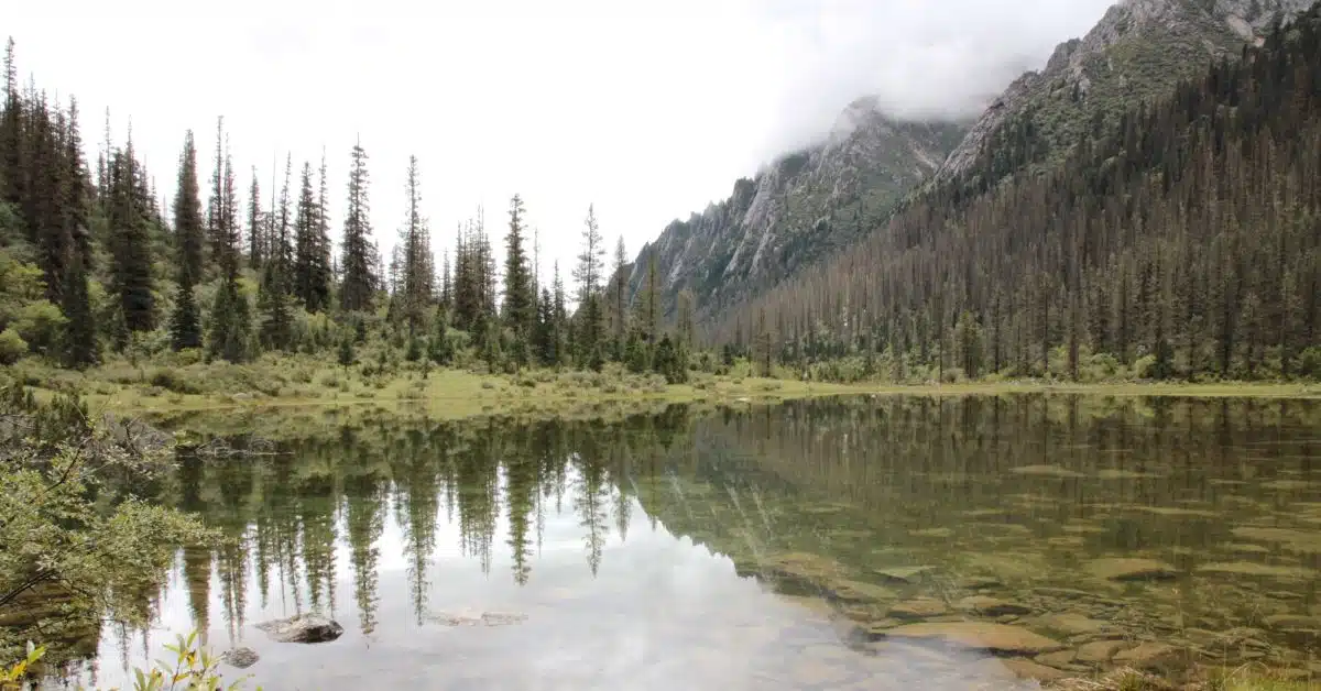 Les lignées Terma dzogchentoday-Les lignées Terma