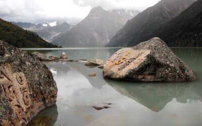 The termas conditions