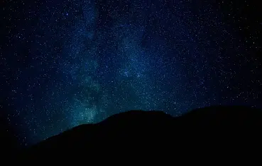 Starry Night. The Wolf Family on Holiday.. @dzogchentoday