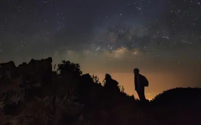 Starry Night