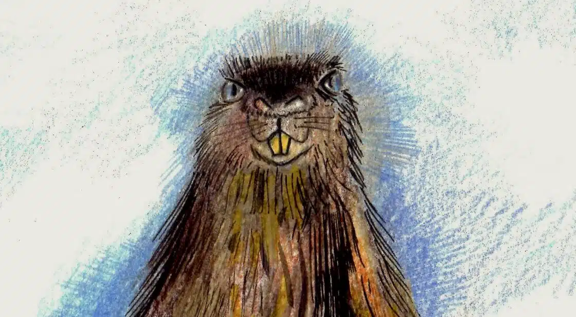 La marmotte est-elle un yogi La marmotte est-elle un yogi @dzogchentoday